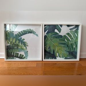 IKEA Plant Picture Frames (RIBBA) - SET OF 2